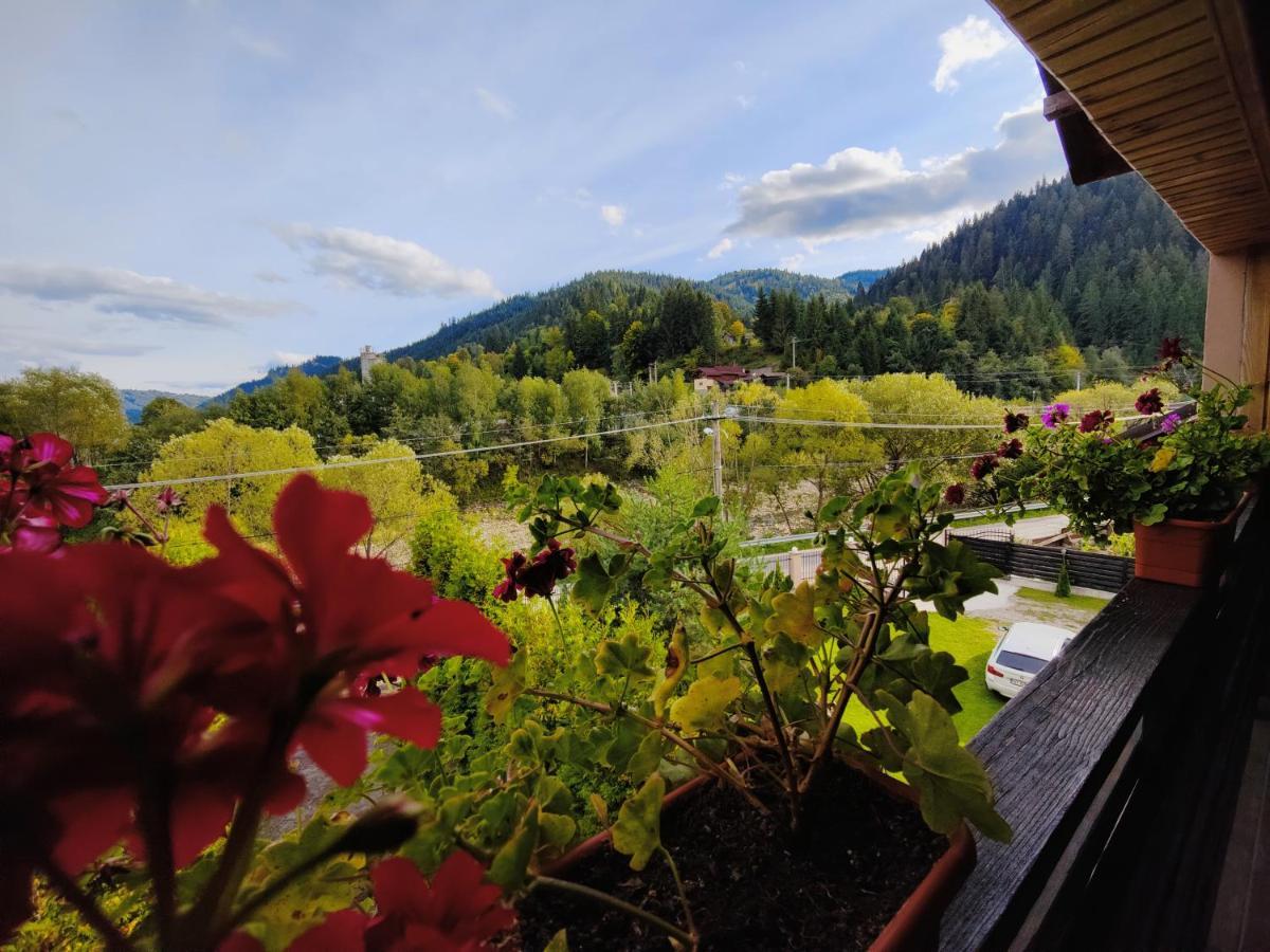 Camping Casa Poiana Teiului